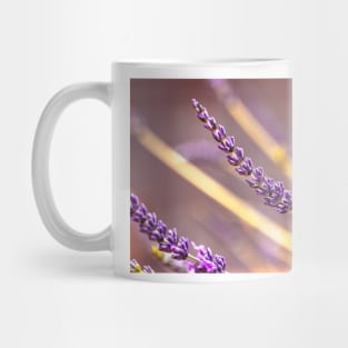 Lavender close-up Mug